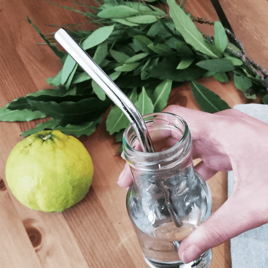 Palhinhas de Aço Inoxidável - Curva